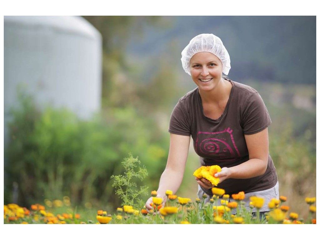 Pania, picking calendulas, which we use as edible flowers in our Salad Daze bags.